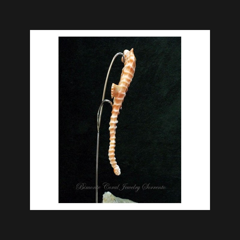 "The Sea-Horse" Coral Statue
