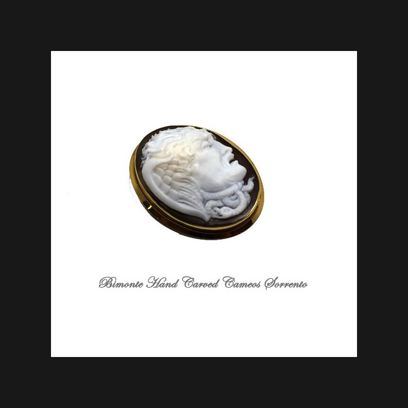 "The Gaze of the Gorgone" Cameo Brooch and Pendant