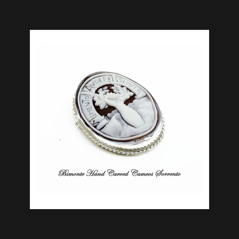 "Memento Audere Semper" Cameo Brooch and Pendant