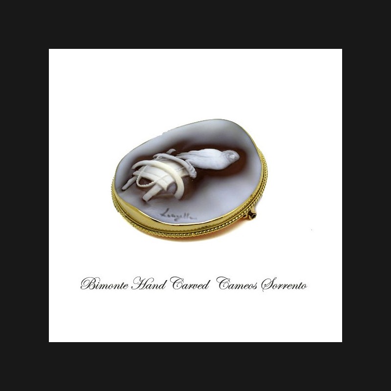 "Cardellino" Cameo brooch and Pendant