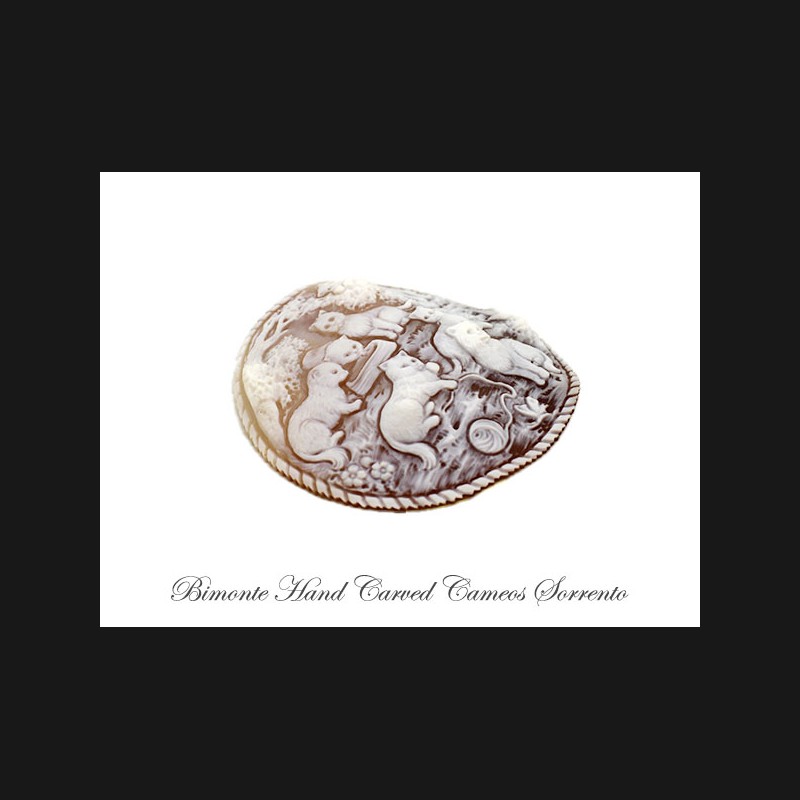 ''Cats'' Cameo
