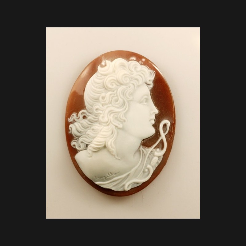 "Diana" Cameo