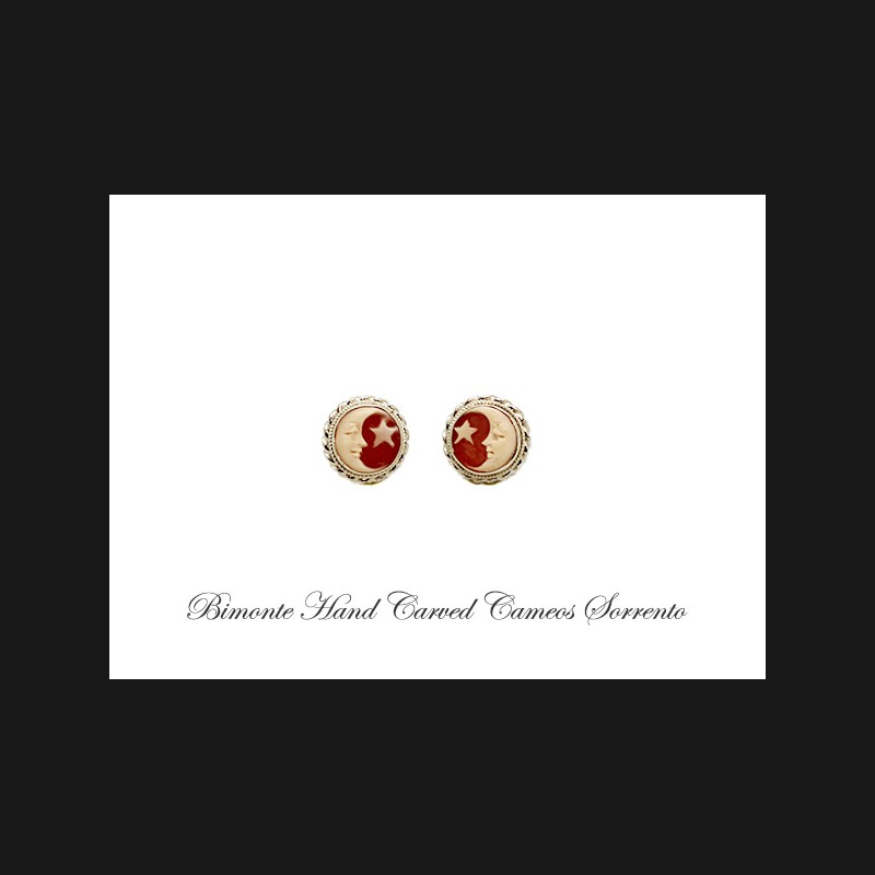 ''Moon & Star'' Cameo Earrings