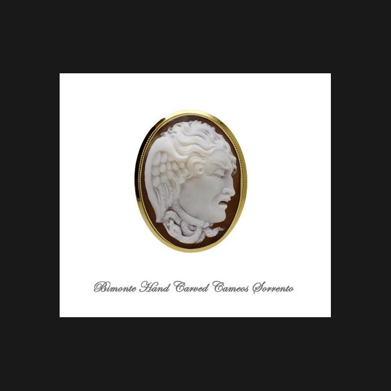"The Gaze of the Gorgone" Cameo Brooch and Pendant
