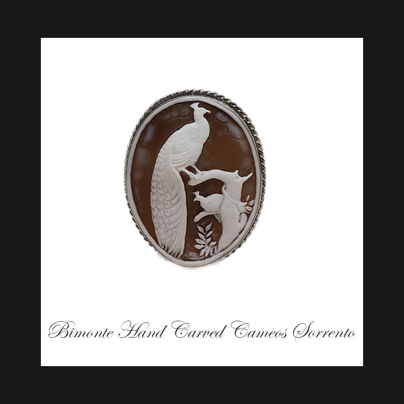 "Pavone"CameoBrooch And Pendant