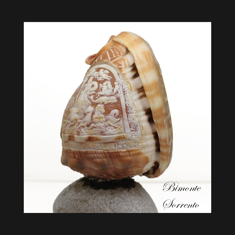 "Il trionfo di Nettuno" Micro Shell Cameo
