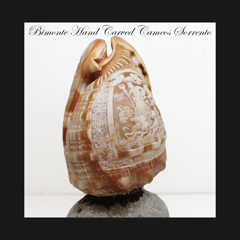 "Il trionfo di Nettuno" Micro Shell Cameo