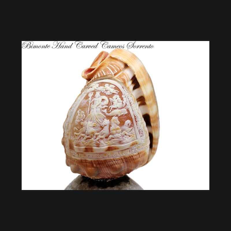 ''Il Trionfo di Nettuno'' Cameo Shell Art