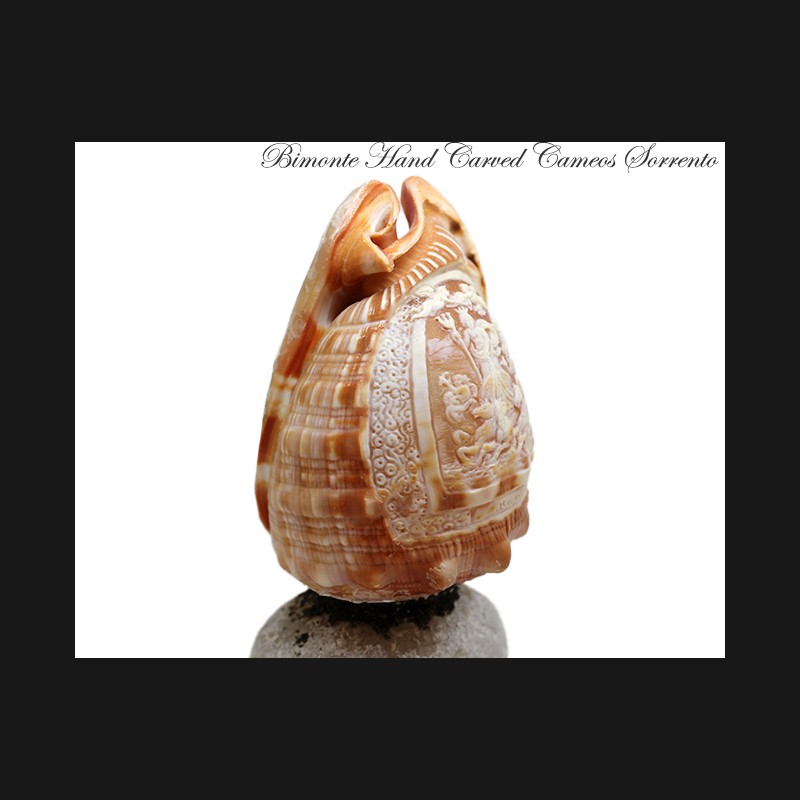 ''Il Trionfo di Nettuno'' Cameo Shell Art