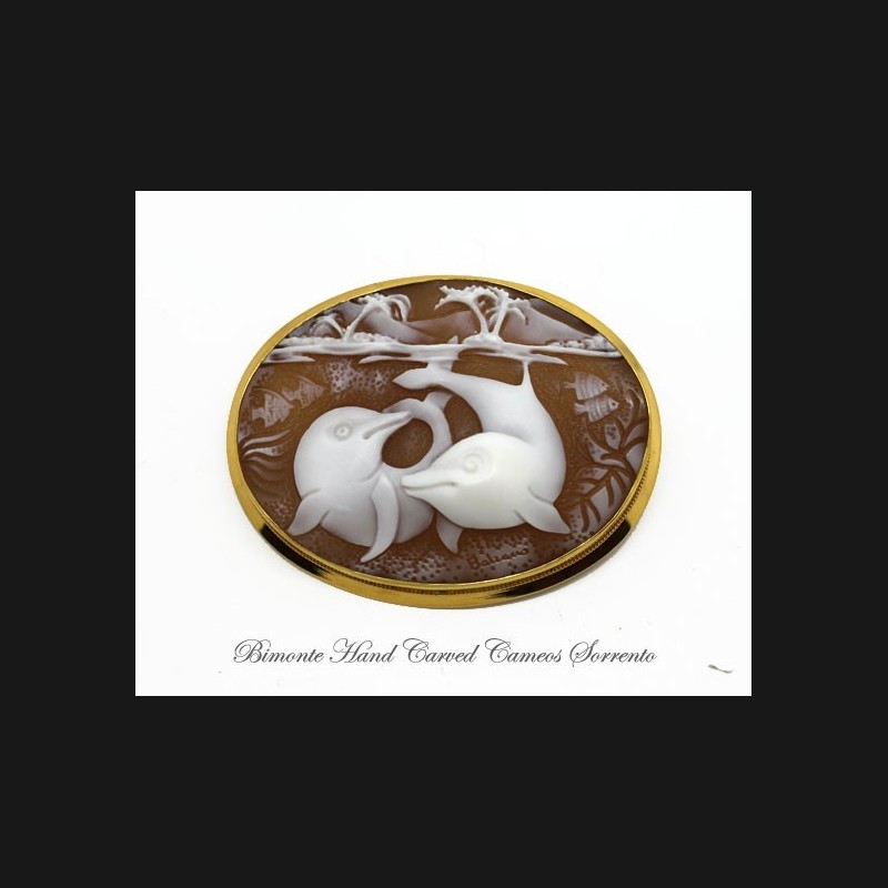 "Dolphins" Cameo