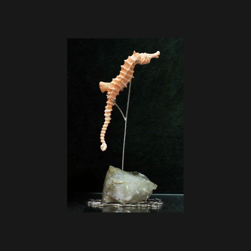 "The Sea-Horse" Coral Statue